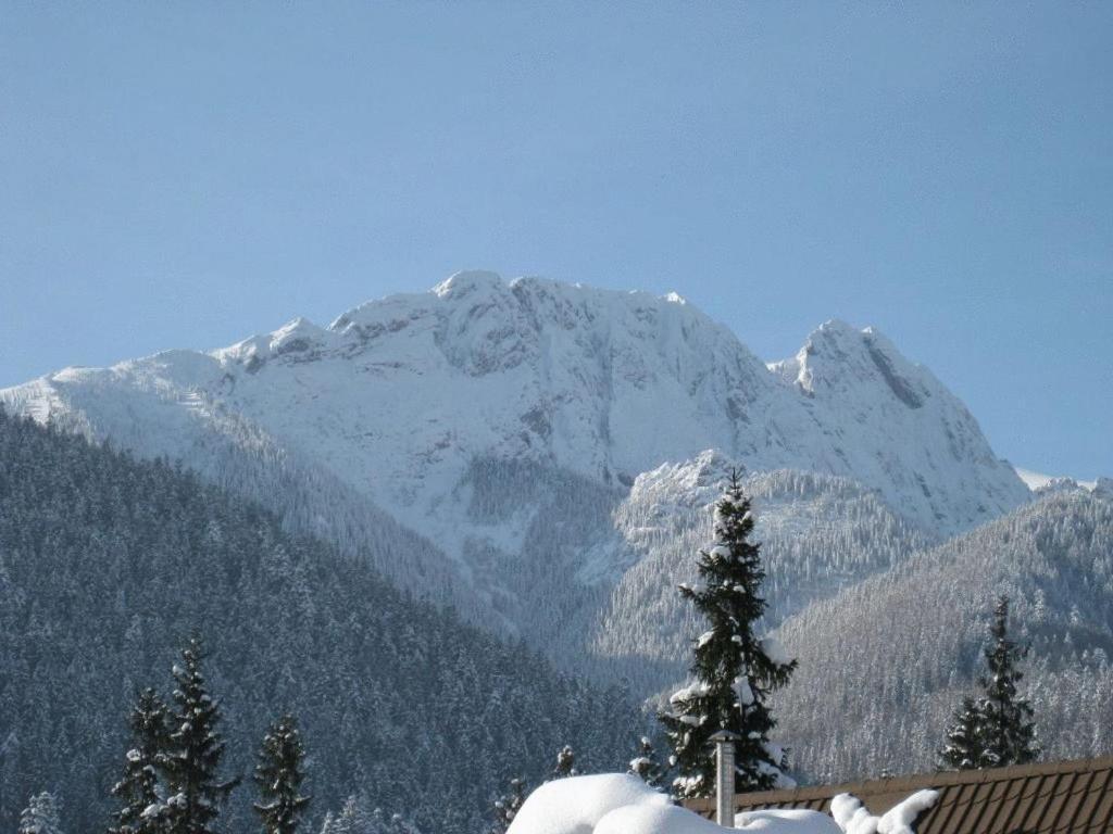 Apartments Zakopane Center Esterno foto